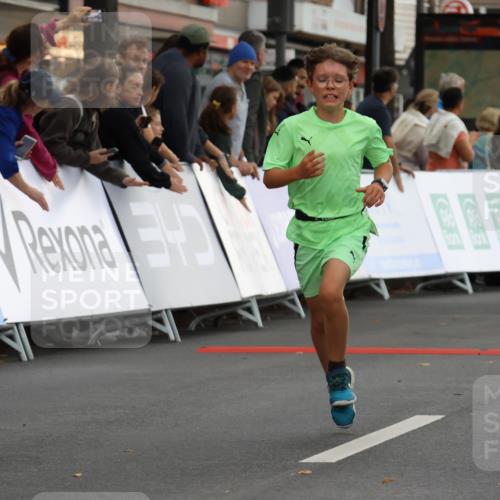 21.09.2025 - PSD Bank Halbmarathon Strokosch-Dieckow http://msf.ph/oto/8940396 21.09.2025 10:25:30 Ziel 206, 268 meine-sportfotos.de