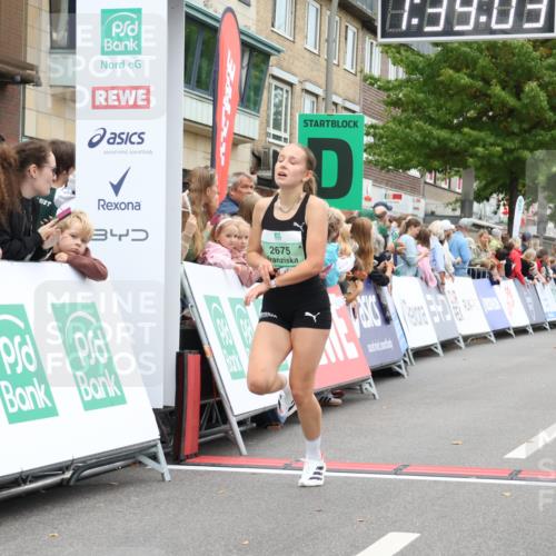21.09.2025 - PSD Bank Halbmarathon Strokosch-Dieckow http://msf.ph/oto/8940852 21.09.2025 11:38:26 Ziel 1892, 1904, 1985, 2675 meine-sportfotos.de