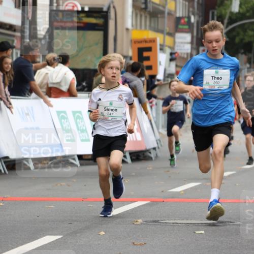 21.09.2025 - PSD Bank Halbmarathon Strokosch-Dieckow http://msf.ph/oto/8941191 21.09.2025 10:27:24 Ziel 101, 128, 242, 247, 249, 292, 298, 329, 330, 341, 391, 398 meine-sportfotos.de