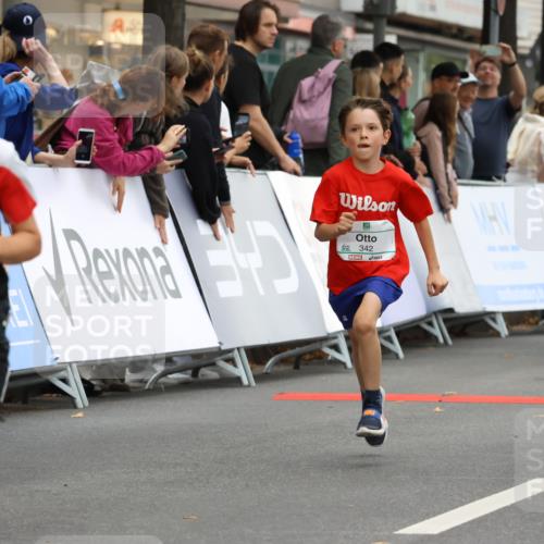 21.09.2025 - PSD Bank Halbmarathon Strokosch-Dieckow http://msf.ph/oto/8941293 21.09.2025 10:27:32 Ziel 101, 107, 149, 247, 249, 262, 292, 341, 342, 391, 392, 399 meine-sportfotos.de