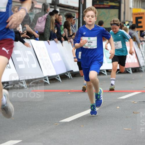 21.09.2025 - PSD Bank Halbmarathon Strokosch-Dieckow http://msf.ph/oto/8941416 21.09.2025 10:27:38 Ziel 107, 149, 249, 262, 341, 342, 362, 392, 399, 436 meine-sportfotos.de