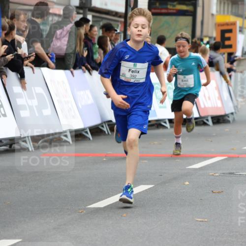 21.09.2025 - PSD Bank Halbmarathon Strokosch-Dieckow http://msf.ph/oto/8941427 21.09.2025 10:27:38 Ziel 107, 149, 249, 262, 341, 342, 362, 392, 399, 436 meine-sportfotos.de