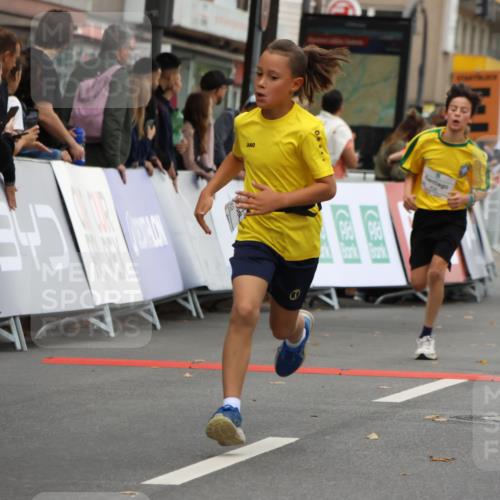 21.09.2025 - PSD Bank Halbmarathon Strokosch-Dieckow http://msf.ph/oto/8941499 21.09.2025 10:27:41 Ziel 107, 144, 149, 262, 342, 354, 362, 367, 392, 399, 436, 451 meine-sportfotos.de