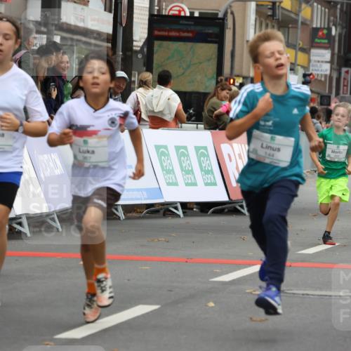 21.09.2025 - PSD Bank Halbmarathon Strokosch-Dieckow http://msf.ph/oto/8941581 21.09.2025 10:27:48 Ziel 144, 149, 203, 241, 254, 262, 289, 354, 362, 367, 401, 436, 451 meine-sportfotos.de