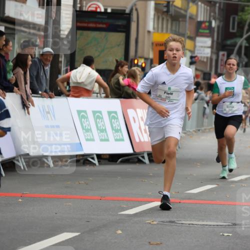 21.09.2025 - PSD Bank Halbmarathon Strokosch-Dieckow http://msf.ph/oto/8941707 21.09.2025 10:28:01 Ziel 220, 241, 253, 254, 288, 289, 356, 401, 411, 425, 442 meine-sportfotos.de