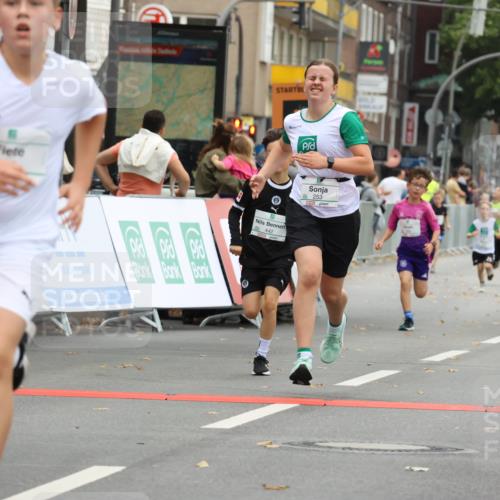 21.09.2025 - PSD Bank Halbmarathon Strokosch-Dieckow http://msf.ph/oto/8941731 21.09.2025 10:28:03 Ziel 220, 241, 253, 288, 289, 356, 401, 411, 425, 442 meine-sportfotos.de