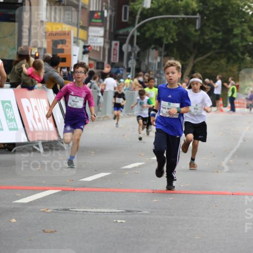 21.09.2025 - PSD Bank Halbmarathon Strokosch-Dieckow http://msf.ph/oto/8941748 21.09.2025 10:28:05 Ziel 220, 253, 288, 356, 411, 425, 442 meine-sportfotos.de