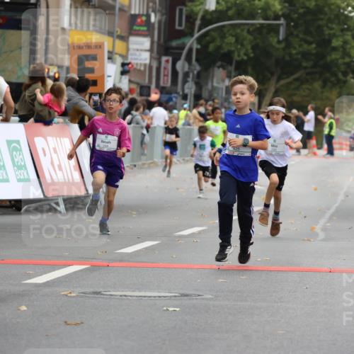 21.09.2025 - PSD Bank Halbmarathon Strokosch-Dieckow http://msf.ph/oto/8941752 21.09.2025 10:28:05 Ziel 220, 253, 288, 356, 411, 425, 442 meine-sportfotos.de
