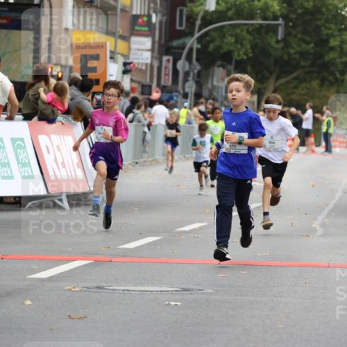 21.09.2025 - PSD Bank Halbmarathon Strokosch-Dieckow http://msf.ph/oto/8941758 21.09.2025 10:28:05 Ziel 220, 253, 288, 356, 411, 425, 442 meine-sportfotos.de