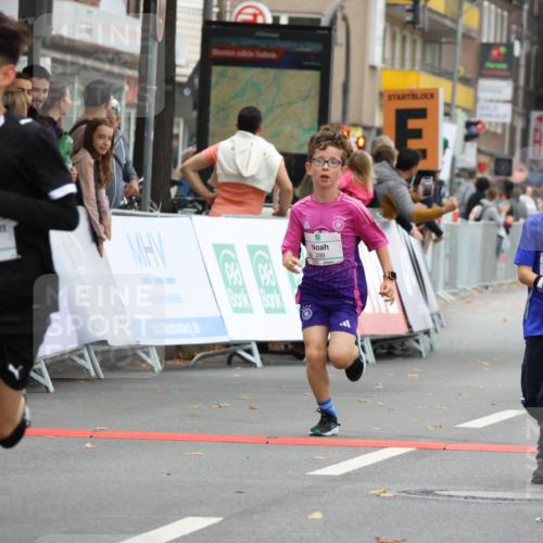 21.09.2025 - PSD Bank Halbmarathon Strokosch-Dieckow http://msf.ph/oto/8941763 21.09.2025 10:28:07 Ziel 213, 220, 253, 270, 288, 356, 411, 425, 442 meine-sportfotos.de