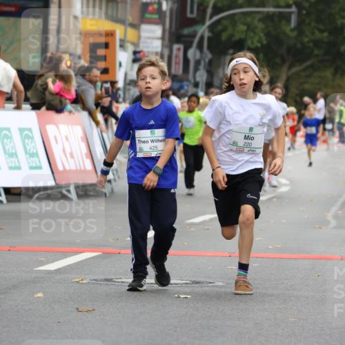 21.09.2025 - PSD Bank Halbmarathon Strokosch-Dieckow http://msf.ph/oto/8941799 21.09.2025 10:28:08 Ziel 213, 220, 240, 253, 270, 288, 356, 411, 425, 442 meine-sportfotos.de