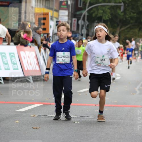 21.09.2025 - PSD Bank Halbmarathon Strokosch-Dieckow http://msf.ph/oto/8941805 21.09.2025 10:28:08 Ziel 213, 220, 240, 253, 270, 288, 356, 411, 425, 442 meine-sportfotos.de