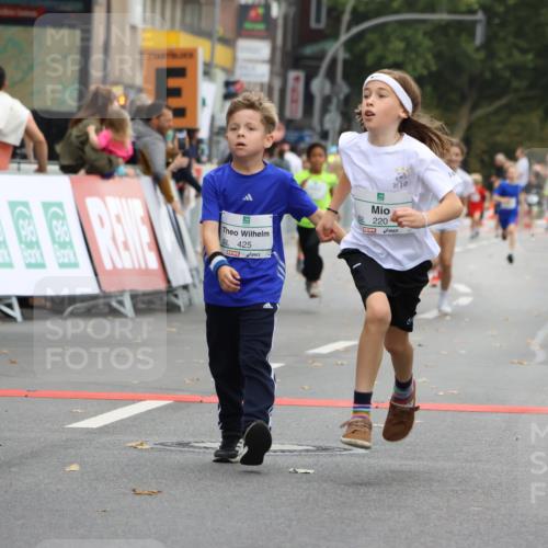 21.09.2025 - PSD Bank Halbmarathon Strokosch-Dieckow http://msf.ph/oto/8941813 21.09.2025 10:28:08 Ziel 213, 220, 240, 253, 270, 288, 356, 411, 425, 442 meine-sportfotos.de