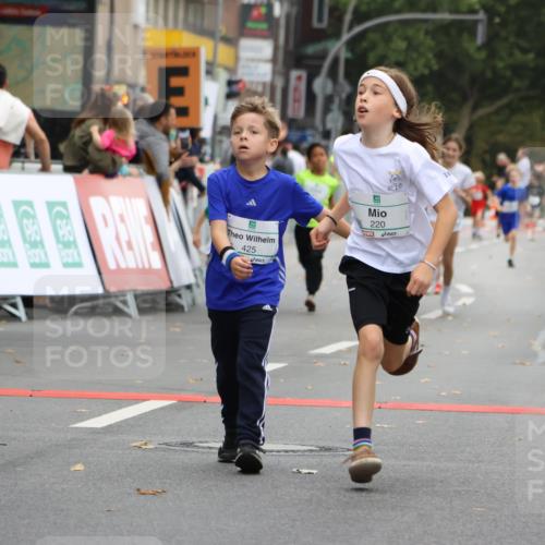 21.09.2025 - PSD Bank Halbmarathon Strokosch-Dieckow http://msf.ph/oto/8941819 21.09.2025 10:28:08 Ziel 213, 220, 240, 253, 270, 288, 356, 411, 425, 442 meine-sportfotos.de