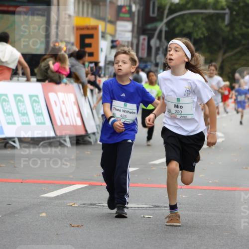 21.09.2025 - PSD Bank Halbmarathon Strokosch-Dieckow http://msf.ph/oto/8941824 21.09.2025 10:28:08 Ziel 213, 220, 240, 253, 270, 288, 356, 411, 425, 442 meine-sportfotos.de