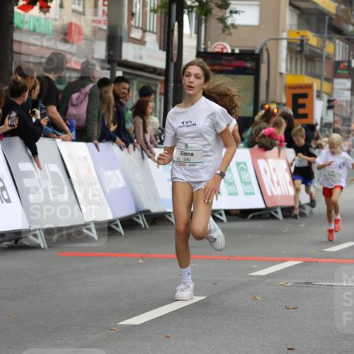 21.09.2025 - PSD Bank Halbmarathon Strokosch-Dieckow http://msf.ph/oto/8941862 21.09.2025 10:28:15 Ziel 158, 163, 213, 220, 240, 270, 288, 316, 425, 442, 461 meine-sportfotos.de