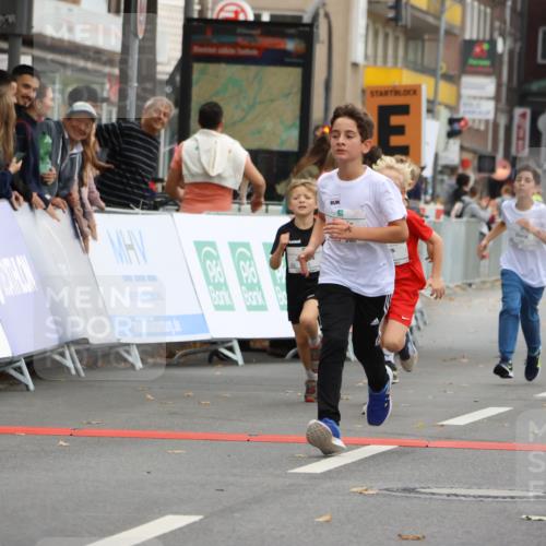 21.09.2025 - PSD Bank Halbmarathon Strokosch-Dieckow http://msf.ph/oto/8941921 21.09.2025 10:28:28 Ziel 123, 150, 157, 158, 197, 198, 204, 205, 215, 316, 317, 321, 426, 461 meine-sportfotos.de
