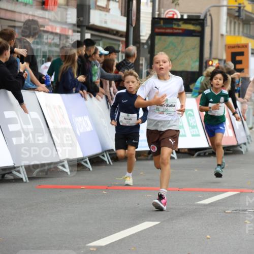 21.09.2025 - PSD Bank Halbmarathon Strokosch-Dieckow http://msf.ph/oto/8942029 21.09.2025 10:28:50 Ziel 109, 126, 142, 167, 193, 194, 212, 255, 258, 266, 337, 338, 357, 388, 389, 397, 408, 412, 415, 440 meine-sportfotos.de