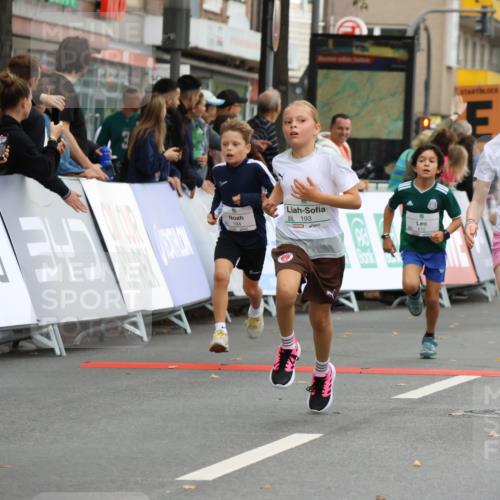 21.09.2025 - PSD Bank Halbmarathon Strokosch-Dieckow http://msf.ph/oto/8942036 21.09.2025 10:28:50 Ziel 109, 126, 142, 167, 193, 194, 212, 255, 258, 266, 337, 338, 357, 388, 389, 397, 408, 412, 415, 440 meine-sportfotos.de