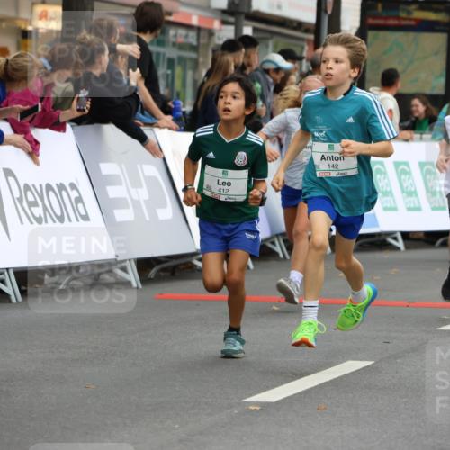 21.09.2025 - PSD Bank Halbmarathon Strokosch-Dieckow http://msf.ph/oto/8942053 21.09.2025 10:28:53 Ziel 109, 134, 142, 155, 167, 193, 194, 196, 212, 255, 258, 266, 294, 337, 338, 397, 412, 415, 440, 452 meine-sportfotos.de