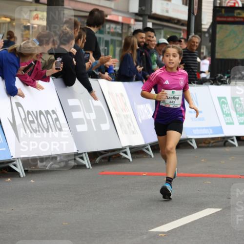 21.09.2025 - PSD Bank Halbmarathon Strokosch-Dieckow http://msf.ph/oto/8942119 21.09.2025 10:29:04 Ziel 134, 155, 167, 168, 196, 212, 267, 294, 327, 416, 443, 452 meine-sportfotos.de
