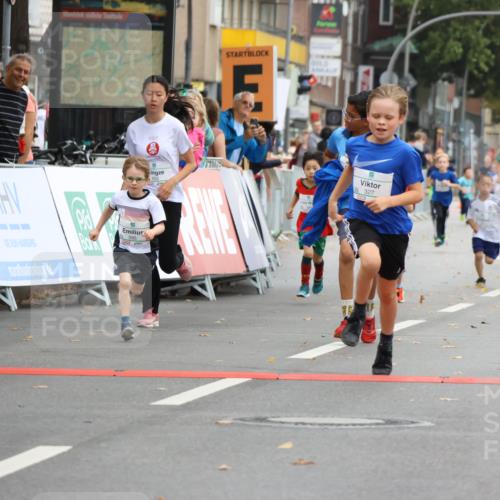21.09.2025 - PSD Bank Halbmarathon Strokosch-Dieckow http://msf.ph/oto/8942136 21.09.2025 10:29:09 Ziel 155, 168, 261, 267, 327, 345, 390, 395, 416, 443, 452, 455 meine-sportfotos.de