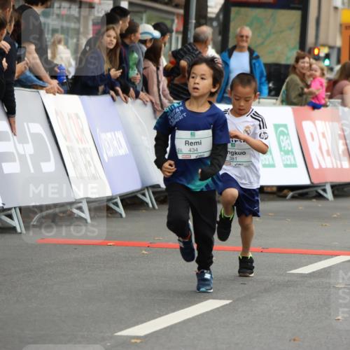 21.09.2025 - PSD Bank Halbmarathon Strokosch-Dieckow http://msf.ph/oto/8942187 21.09.2025 10:29:19 Ziel 166, 233, 250, 261, 301, 327, 345, 381, 390, 395, 406, 434, 455 meine-sportfotos.de