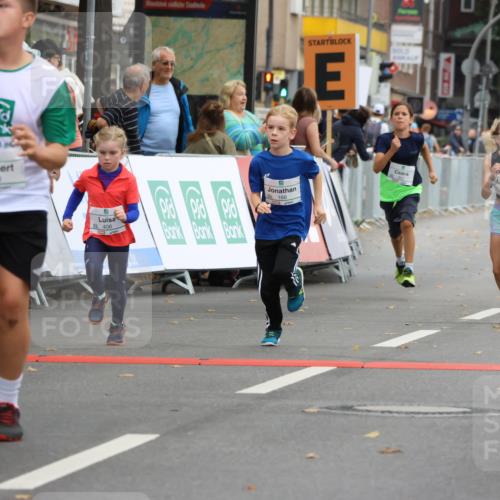 21.09.2025 - PSD Bank Halbmarathon Strokosch-Dieckow http://msf.ph/oto/8942200 21.09.2025 10:29:22 Ziel 166, 233, 250, 261, 301, 345, 381, 390, 406, 434, 455 meine-sportfotos.de