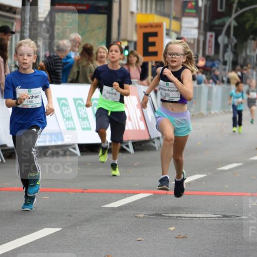 21.09.2025 - PSD Bank Halbmarathon Strokosch-Dieckow http://msf.ph/oto/8942217 21.09.2025 10:29:24 Ziel 166, 233, 250, 261, 301, 345, 381, 406, 434 meine-sportfotos.de