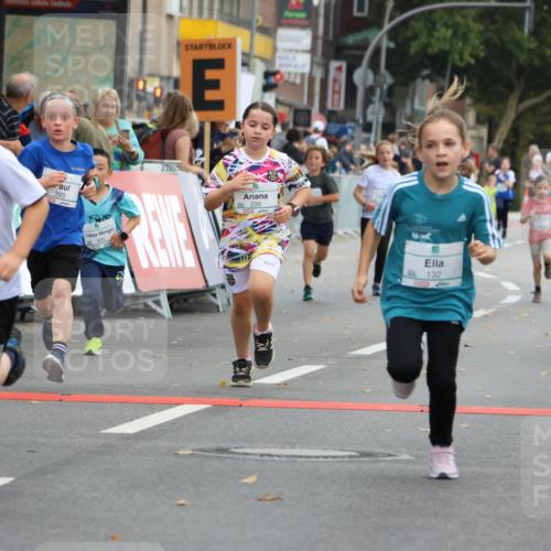 21.09.2025 - PSD Bank Halbmarathon Strokosch-Dieckow http://msf.ph/oto/8942233 21.09.2025 10:29:33 Ziel 132, 166, 235, 250, 300, 301, 328, 393, 406, 453 meine-sportfotos.de