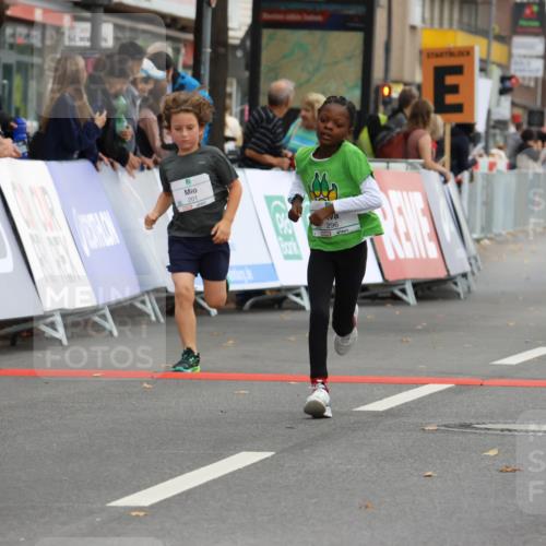 21.09.2025 - PSD Bank Halbmarathon Strokosch-Dieckow http://msf.ph/oto/8942274 21.09.2025 10:29:42 Ziel 103, 132, 201, 235, 271, 296, 300, 319, 328, 393 meine-sportfotos.de