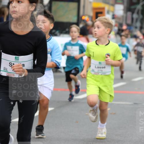 21.09.2025 - PSD Bank Halbmarathon Strokosch-Dieckow http://msf.ph/oto/8942322 21.09.2025 10:29:58 Ziel 131, 140, 141, 195, 234, 245, 272, 276, 430, 438 meine-sportfotos.de