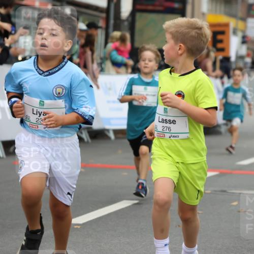 21.09.2025 - PSD Bank Halbmarathon Strokosch-Dieckow http://msf.ph/oto/8942327 21.09.2025 10:29:59 Ziel 131, 140, 141, 195, 234, 245, 272, 276, 430, 438 meine-sportfotos.de