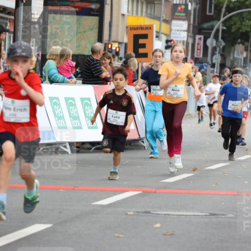 21.09.2025 - PSD Bank Halbmarathon Strokosch-Dieckow http://msf.ph/oto/8942363 21.09.2025 10:30:10 Ziel 141, 145, 227, 231, 243, 245, 407, 448, 458, 459 meine-sportfotos.de