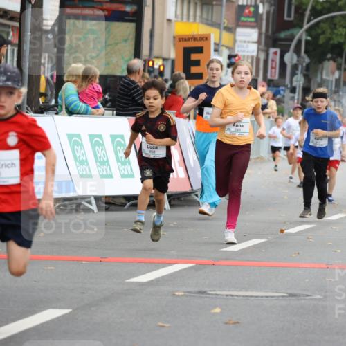 21.09.2025 - PSD Bank Halbmarathon Strokosch-Dieckow http://msf.ph/oto/8942367 21.09.2025 10:30:11 Ziel 141, 145, 227, 231, 243, 245, 407, 448, 458, 459 meine-sportfotos.de
