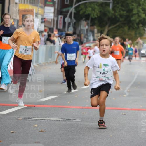21.09.2025 - PSD Bank Halbmarathon Strokosch-Dieckow http://msf.ph/oto/8942368 21.09.2025 10:30:12 Ziel 104, 141, 145, 227, 231, 243, 245, 382, 407, 448, 458, 459 meine-sportfotos.de