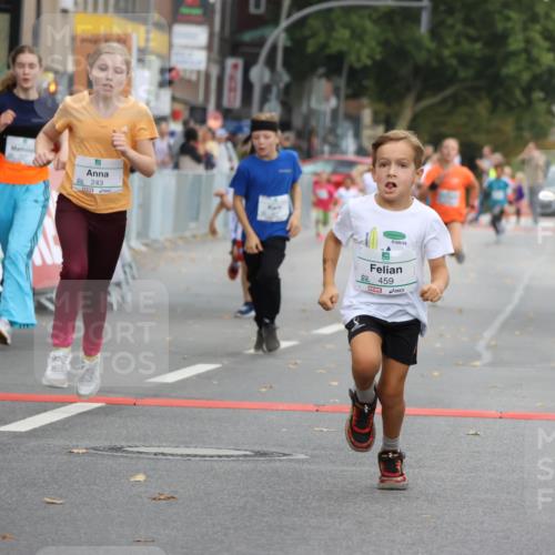 21.09.2025 - PSD Bank Halbmarathon Strokosch-Dieckow http://msf.ph/oto/8942370 21.09.2025 10:30:12 Ziel 104, 141, 145, 227, 231, 243, 245, 382, 407, 448, 458, 459 meine-sportfotos.de
