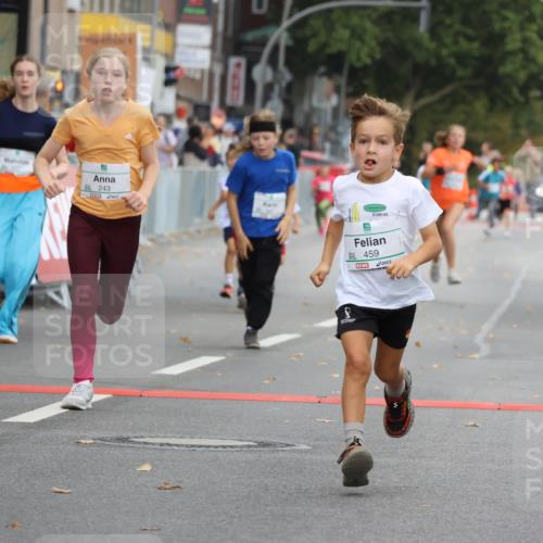 21.09.2025 - PSD Bank Halbmarathon Strokosch-Dieckow http://msf.ph/oto/8942374 21.09.2025 10:30:12 Ziel 104, 141, 145, 227, 231, 243, 245, 382, 407, 448, 458, 459 meine-sportfotos.de