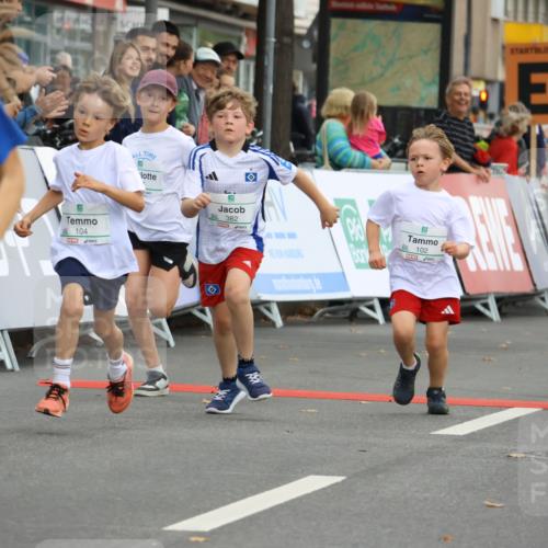 21.09.2025 - PSD Bank Halbmarathon Strokosch-Dieckow http://msf.ph/oto/8942387 21.09.2025 10:30:19 Ziel 102, 104, 227, 243, 343, 377, 382, 407, 448, 458, 459 meine-sportfotos.de