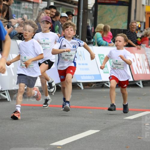 21.09.2025 - PSD Bank Halbmarathon Strokosch-Dieckow http://msf.ph/oto/8942388 21.09.2025 10:30:19 Ziel 102, 104, 227, 243, 343, 377, 382, 407, 448, 458, 459 meine-sportfotos.de