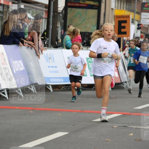 21.09.2025 - PSD Bank Halbmarathon Strokosch-Dieckow http://msf.ph/oto/8942406 21.09.2025 10:30:26 Ziel 102, 104, 129, 151, 263, 343, 344, 351, 370, 375, 377, 382, 407, 431 meine-sportfotos.de