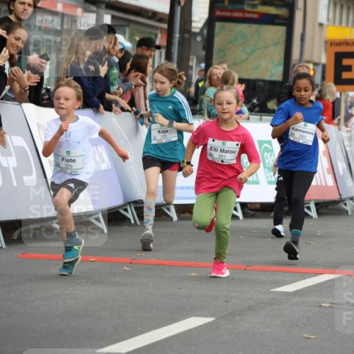 21.09.2025 - PSD Bank Halbmarathon Strokosch-Dieckow http://msf.ph/oto/8942418 21.09.2025 10:30:29 Ziel 102, 129, 151, 263, 320, 343, 344, 351, 370, 375, 377, 431, 456 meine-sportfotos.de