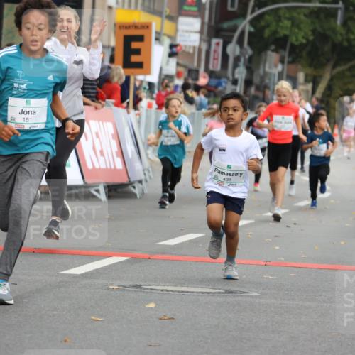 21.09.2025 - PSD Bank Halbmarathon Strokosch-Dieckow http://msf.ph/oto/8942428 21.09.2025 10:30:31 Ziel 116, 129, 151, 263, 320, 324, 344, 351, 370, 375, 405, 431, 456, 457 meine-sportfotos.de