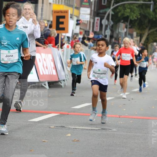 21.09.2025 - PSD Bank Halbmarathon Strokosch-Dieckow http://msf.ph/oto/8942431 21.09.2025 10:30:31 Ziel 116, 129, 151, 263, 320, 324, 344, 351, 370, 375, 405, 431, 456, 457 meine-sportfotos.de