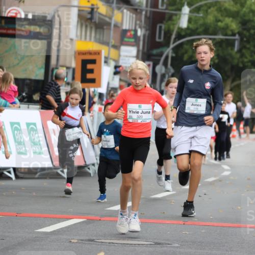 21.09.2025 - PSD Bank Halbmarathon Strokosch-Dieckow http://msf.ph/oto/8942442 21.09.2025 10:30:35 Ziel 116, 129, 151, 246, 263, 320, 324, 344, 351, 370, 375, 402, 405, 431, 456, 457 meine-sportfotos.de