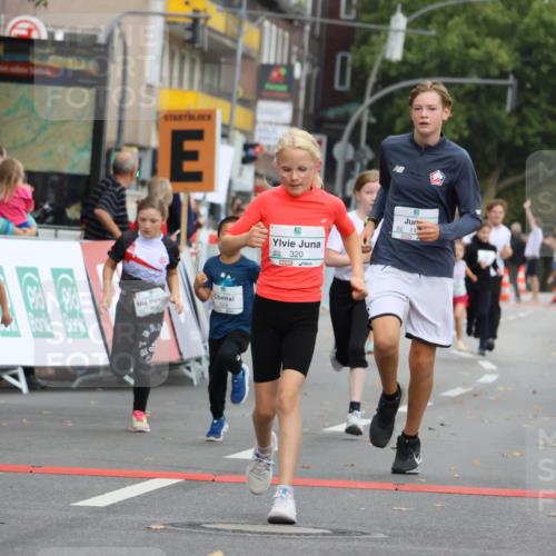 21.09.2025 - PSD Bank Halbmarathon Strokosch-Dieckow http://msf.ph/oto/8942444 21.09.2025 10:30:35 Ziel 116, 129, 151, 246, 263, 320, 324, 344, 351, 370, 375, 402, 405, 431, 456, 457 meine-sportfotos.de