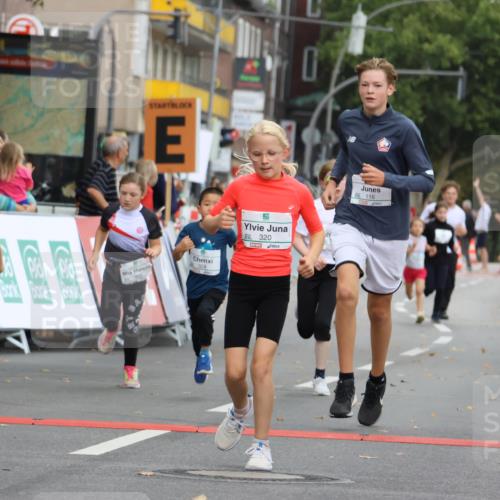 21.09.2025 - PSD Bank Halbmarathon Strokosch-Dieckow http://msf.ph/oto/8942447 21.09.2025 10:30:35 Ziel 116, 129, 151, 246, 263, 320, 324, 344, 351, 370, 375, 402, 405, 431, 456, 457 meine-sportfotos.de