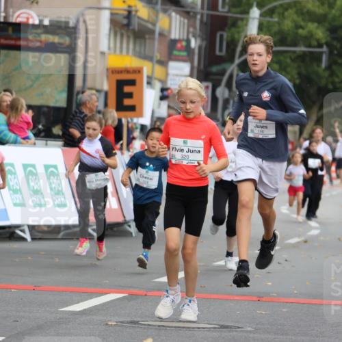 21.09.2025 - PSD Bank Halbmarathon Strokosch-Dieckow http://msf.ph/oto/8942449 21.09.2025 10:30:36 Ziel 108, 116, 129, 151, 246, 263, 320, 324, 344, 351, 370, 375, 402, 405, 431, 456, 457 meine-sportfotos.de