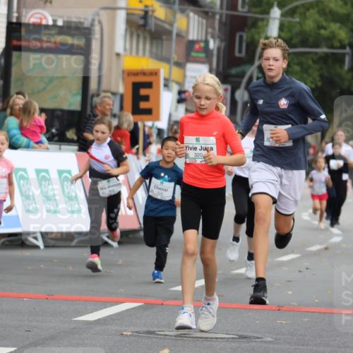 21.09.2025 - PSD Bank Halbmarathon Strokosch-Dieckow http://msf.ph/oto/8942451 21.09.2025 10:30:36 Ziel 108, 116, 129, 151, 246, 263, 320, 324, 344, 351, 370, 375, 402, 405, 431, 456, 457 meine-sportfotos.de