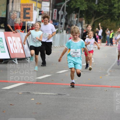 21.09.2025 - PSD Bank Halbmarathon Strokosch-Dieckow http://msf.ph/oto/8942464 21.09.2025 10:30:42 Ziel 108, 116, 117, 192, 246, 318, 320, 324, 335, 402, 403, 405, 456, 457 meine-sportfotos.de